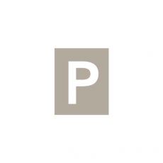 Piktogramm Parkausweis