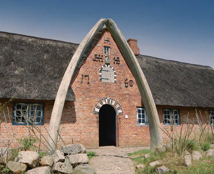 Museum in Molfsee