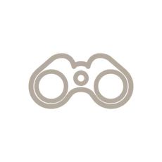 Icon work with a view