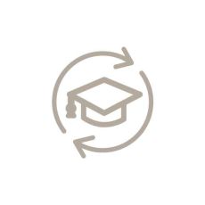 Icon professional development